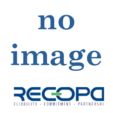 Recopa Ref: RCG20010100 --  STOP PIN KIT (4 ST / PC)
